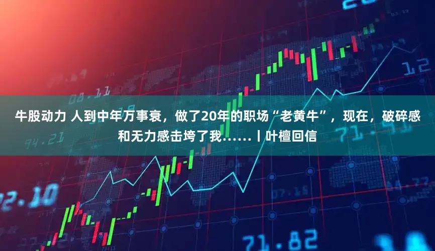 牛股动力 人到中年万事衰，做了20年的职场“老黄牛”，现在，破碎感和无力感击垮了我……丨叶檀回信