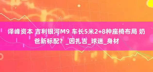 泽峰资本 吉利银河M9 车长5米2+8种座椅布局 奶爸新标配?_因扎吉_球迷_身材