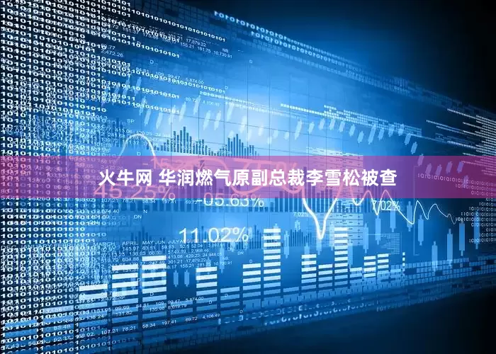 火牛网 华润燃气原副总裁李雪松被查