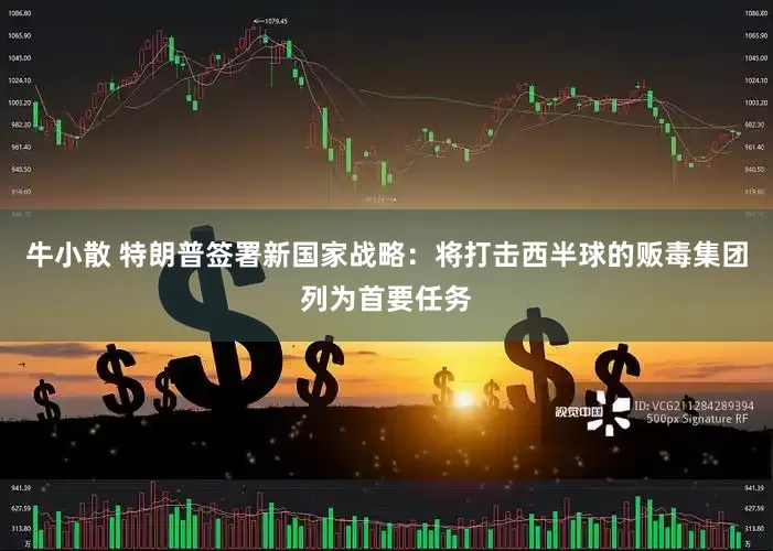 牛小散 特朗普签署新国家战略：将打击西半球的贩毒集团列为首要任务